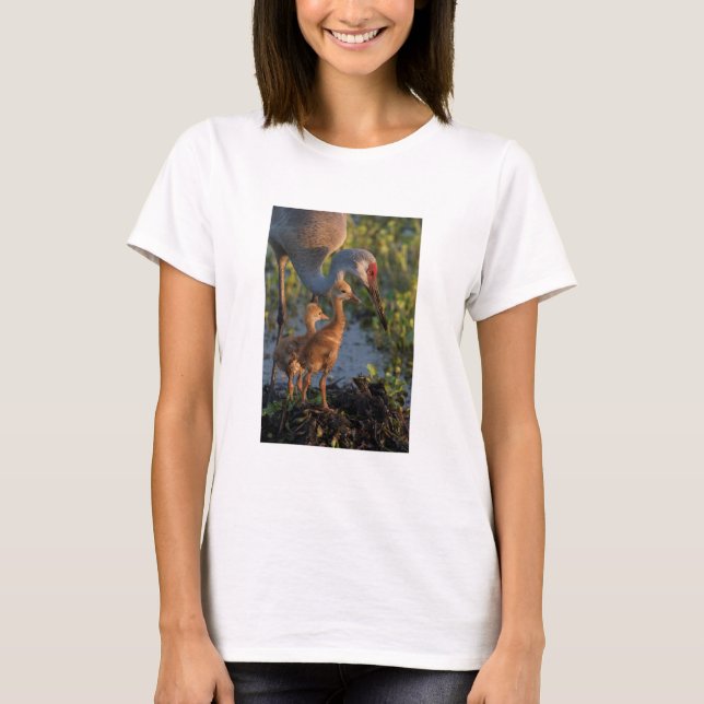 T-shirt Grue du Canada avec poussins, Floride (Devant)