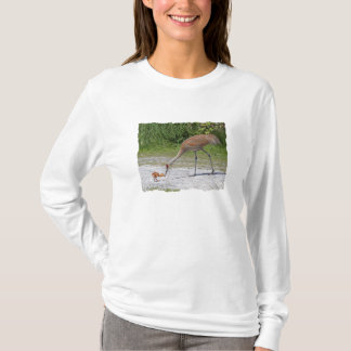 T-shirt Grues de Sandhill d'oiseau de mère et d'oiseau de