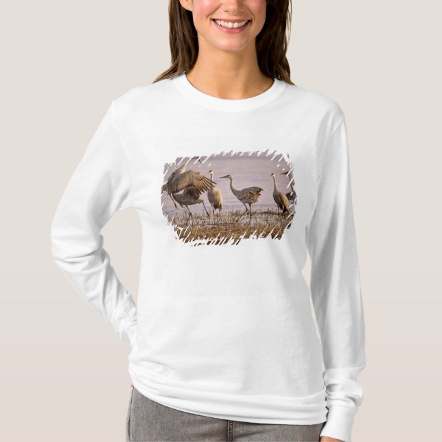 T-shirt Grues du Canada Grus canadensis) Platte (Devant)
