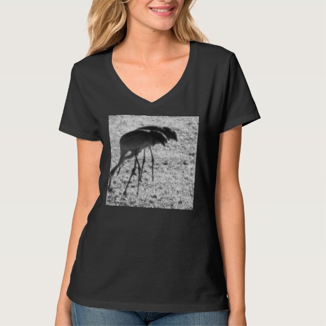 T-shirt Grues Sand Hill (Devant)