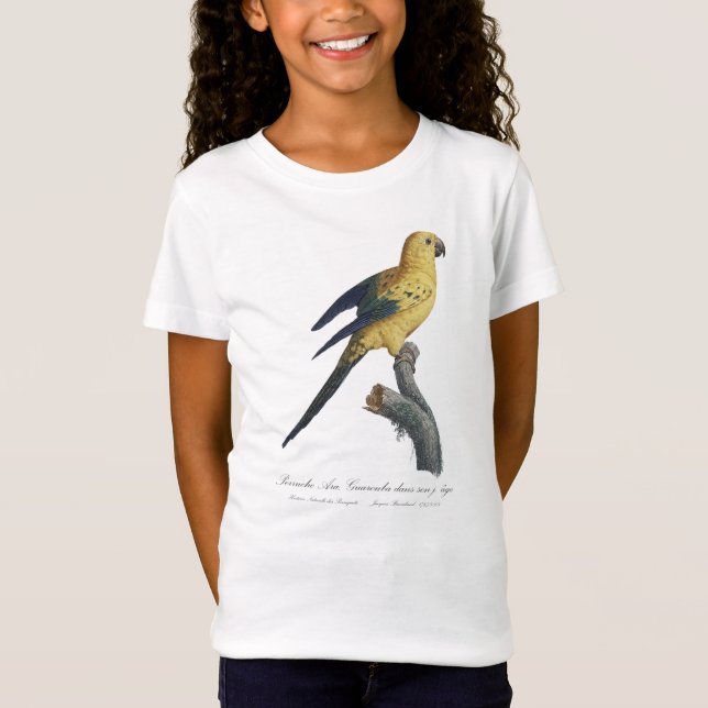T-Shirt Guarouba dans fils jeune âge / Sun parakeet (Devant)