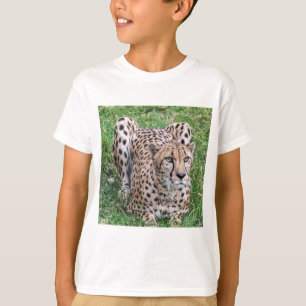T-shirt Guépard