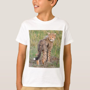 T-shirt Guépard CUB regardant votre manière