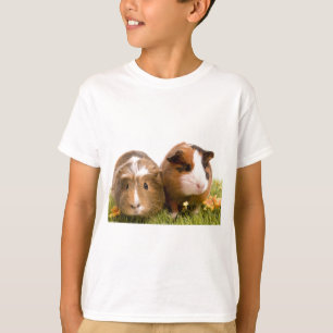 T-shirt guinea pigs on a lawn