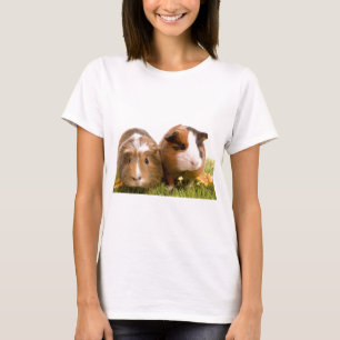 T-shirt guinea pigs on a lawn