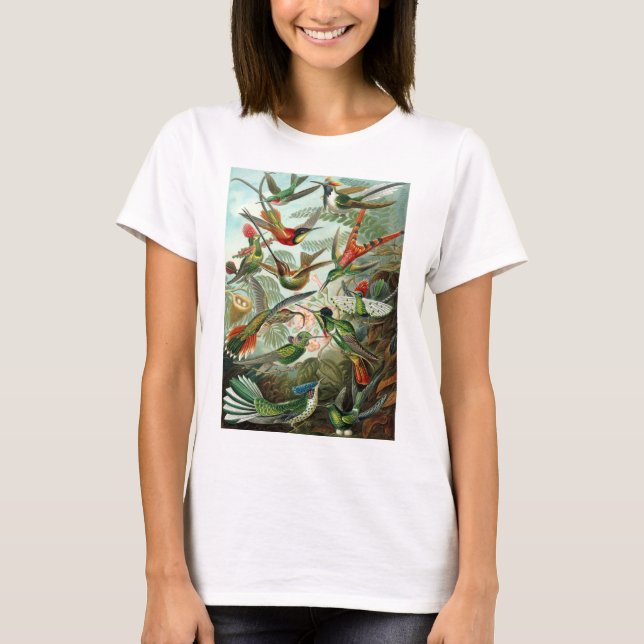 T-shirt Haeckel Hummingbirds (Devant)