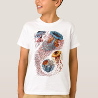 Haeckel Jellyfish