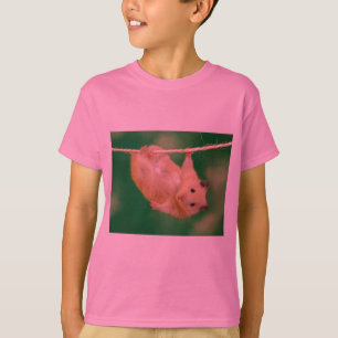 T-shirt hamster idiot