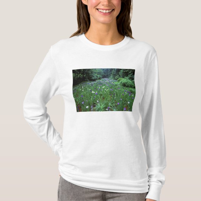 T-shirt Hana Shobu (Japanese Water Iris), Meiji Shrine, (Devant)