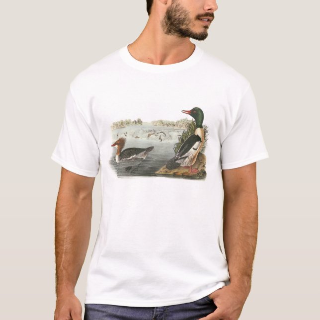 T-shirt Harle commun par Audubon (Devant)