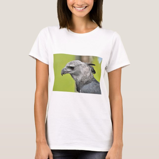 T-shirt Harpy Eagle 2.JPG (Devant)