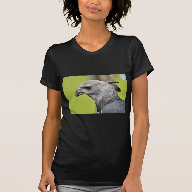 T-shirt Harpy Eagle 2.JPG (Devant)