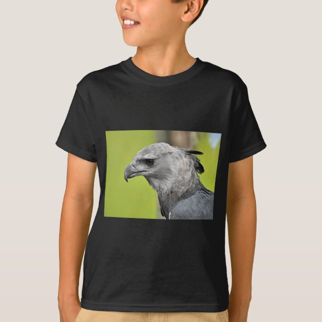 T-shirt Harpy Eagle 2.JPG (Devant)