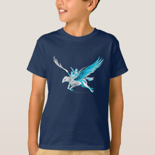 T-shirt Harry et Hermione sur un Hippogriffe
