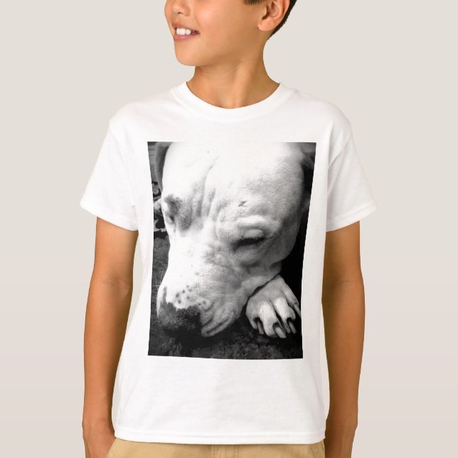 T-shirt harry potier cicatrice chien blanc pit bull (Devant)