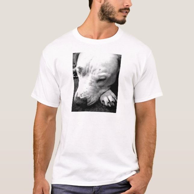 T-shirt harry potier cicatrice chien blanc pit bull (Devant)