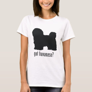 T-shirt Havanese