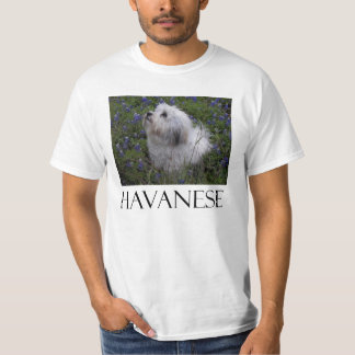 T-SHIRT HAVANESE