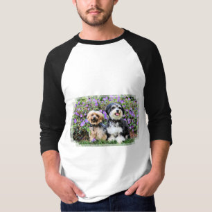 T-shirt Havanese - Lola et Yorkie - aquarium populaire