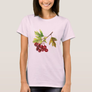 T-shirt Hawthorn botanique fine art automne baies