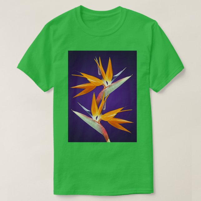 T-shirt HD OISEAU DE PARADISE Haute Définition Photo Helic (Design devant)