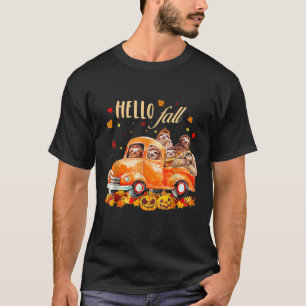 T-shirt Hello Fall Funny Sloth T Shirt Halloween pumtion T