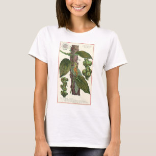 T-shirt Herbes et épices alimentaires vintage, plante de p