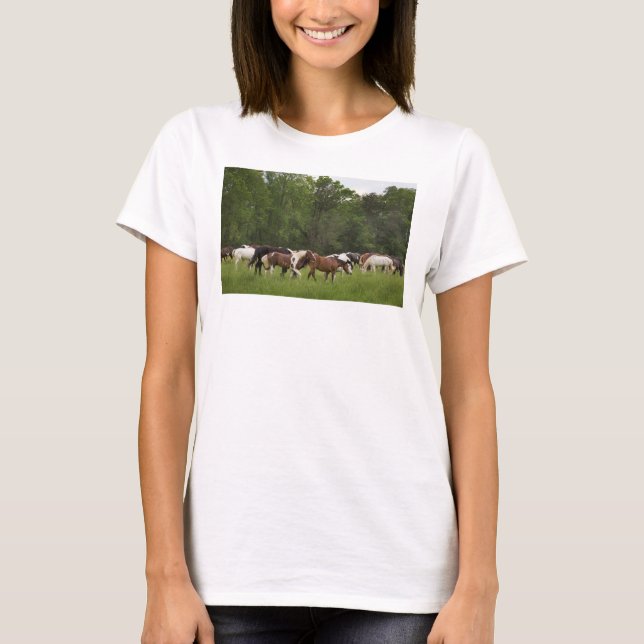 T-shirt Herd of horses, Tennessee (Devant)