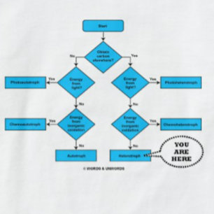T-shirt Hétérotrophe diagramme de flux Vous êtes ici Humou