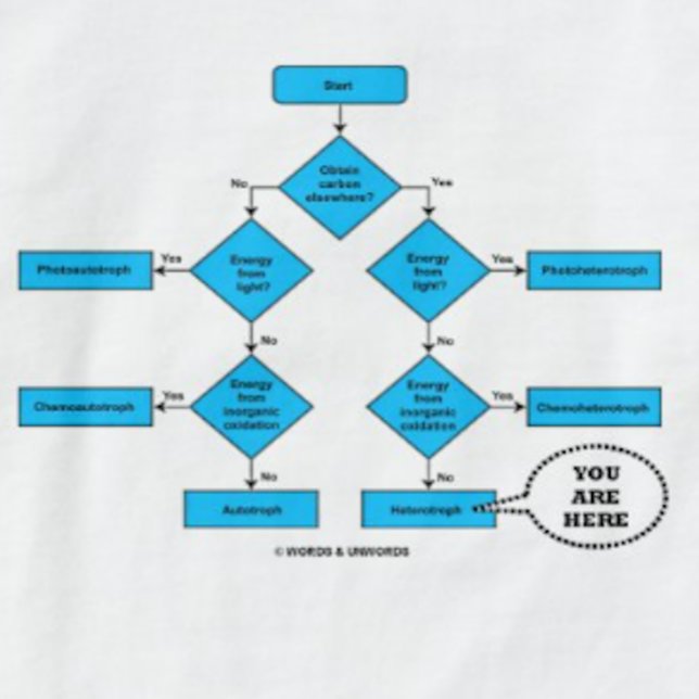 T-shirt Hétérotrophe diagramme de flux Vous êtes ici Humou (Heterotroph flow chart with "You Are Here" callout on this tee for any heterotroph)