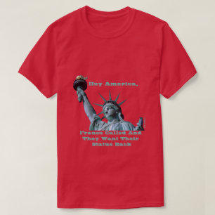 T-shirt Hey America (Lady Liberty) - Une chemise MisterP