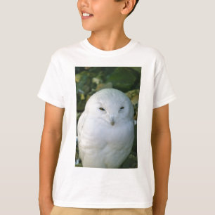 T-shirt Hibou des neiges