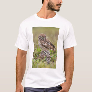 T-shirt Hibou des terriers, Athene cunicularia, Cape Coral