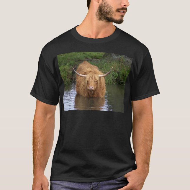 T-shirt Highland Cattle (Devant)