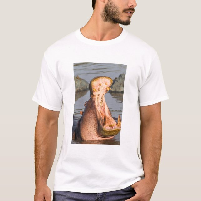 T-shirt Hippopotame bâillant, Tanzanie (Devant)