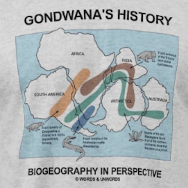 T-shirt Histoire de Gondwana Biogéographie en perspective (Biogeographers and historians will enjoy this "Gondwana's History Biogeography In Perspective" tee)
