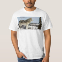Hiver - Loup