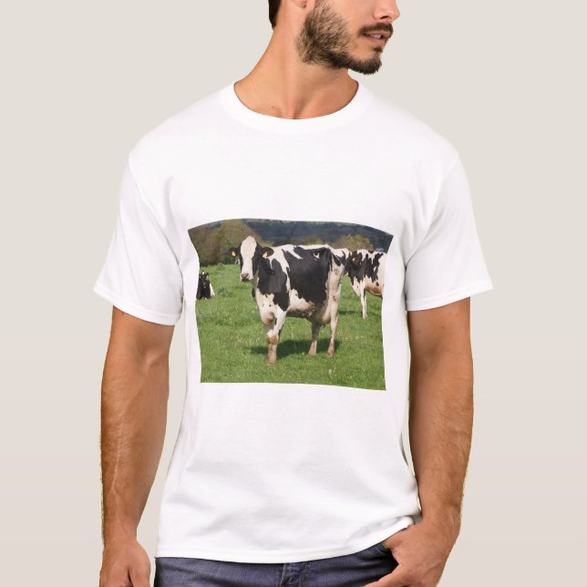 T-shirt Holstein cows in a field in Brittany (Devant)