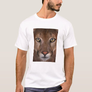 T-shirt homme cougar