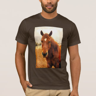 T-shirt homme du Big Braxton