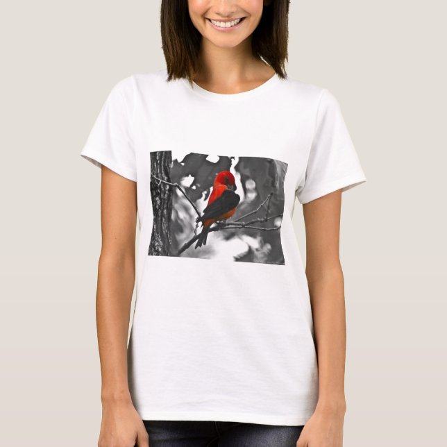 T-shirt Homme Scarlet Tanager (Devant)