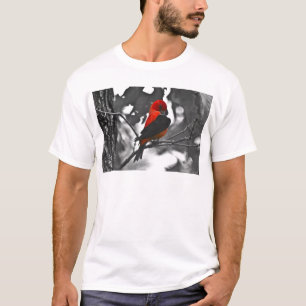 T-shirt Homme Scarlet Tanager