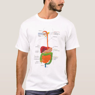 T-shirt Human Body Digestive System Gastrointestinal Tract