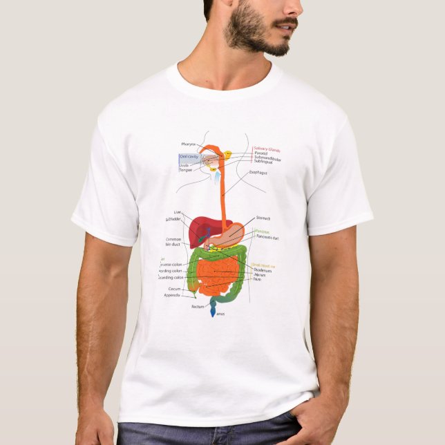 T-shirt Human Body Digestive System Gastrointestinal Tract (Devant)