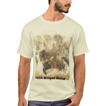 Hussard à ailes par polonais