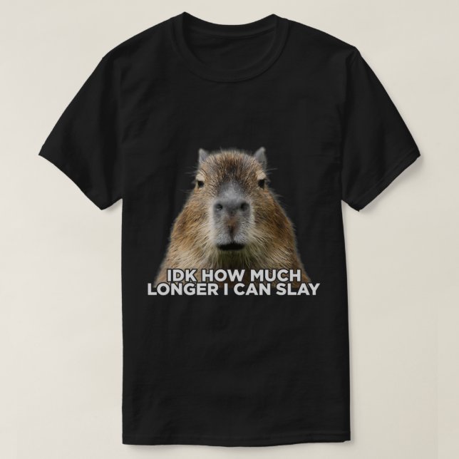 T-shirt Idk How Much Longer I Can Slay Capybara Sarcastic  (Design devant)