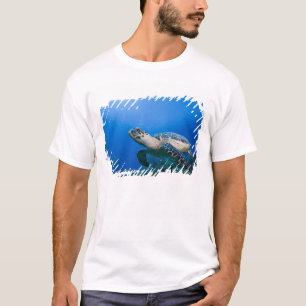 T-shirt Îles Caïmans, Little Cayman Island, Sous l'eau 2