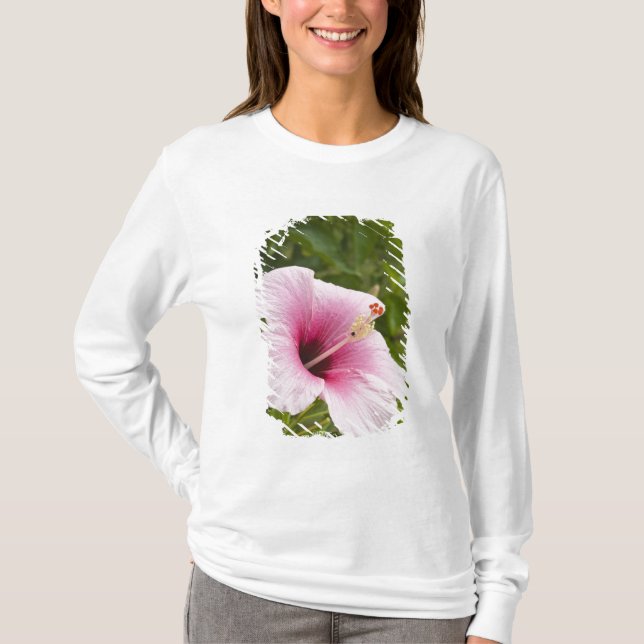 T-shirt Îles Cook, Atiu. Fleur d'hibiscus. (Devant)