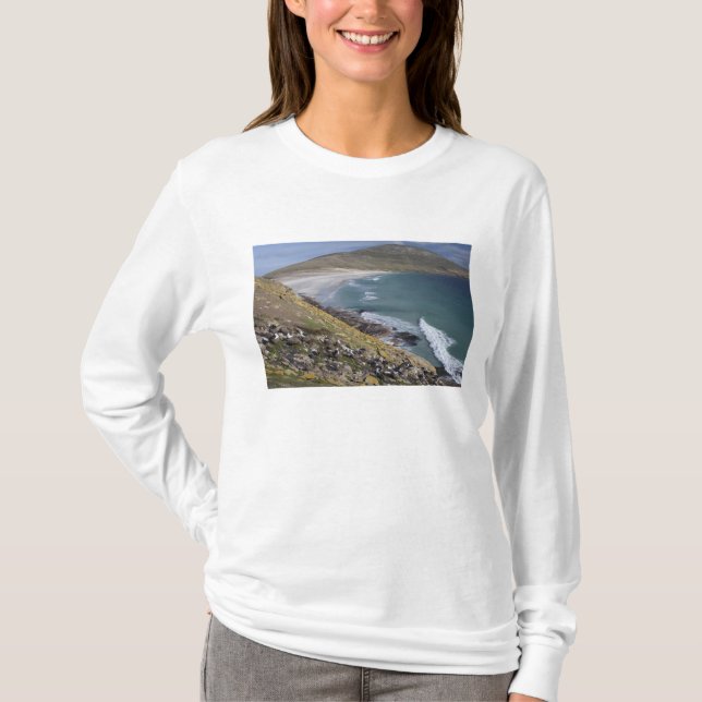T-shirt Îles Falkland, Malouines occidentales, Saunders (Devant)