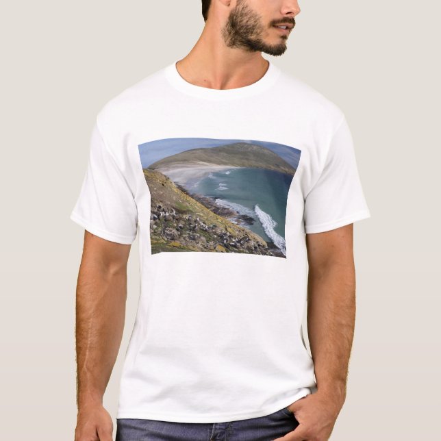 T-shirt Îles Falkland, Malouines occidentales, Saunders (Devant)